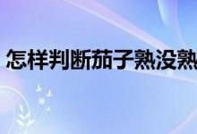 怎樣判斷茄子熟沒(méi)熟（怎樣判斷茄子熟沒(méi)熟）