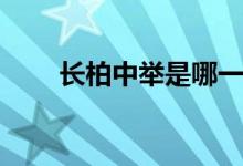 長柏中舉是哪一集(盛長柏中舉了嗎)