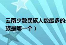 云南少數(shù)民族人數(shù)最多的是什么族（云南人口最多的少數(shù)民族是哪一個）