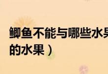 鯽魚(yú)不能與哪些水果一起吃（吃鯽魚(yú)后不能吃的水果）