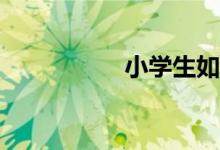 小學(xué)生如何學(xué)好數(shù)學(xué)？