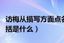 訪梅從描寫方面點名了什么（訪梅主要內容概括是什么）