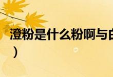 澄粉是什么粉啊與白粘粉區(qū)別（澄粉是什么粉）