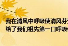 我在清風(fēng)中呼吸使清風(fēng)芬芳馥郁運用了什么修辭手法（清風(fēng)給了我們祖先第一口呼吸修辭手法）