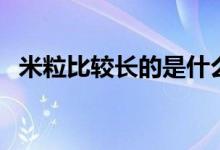 米粒比較長(zhǎng)的是什么米（長(zhǎng)米粒是什么米）