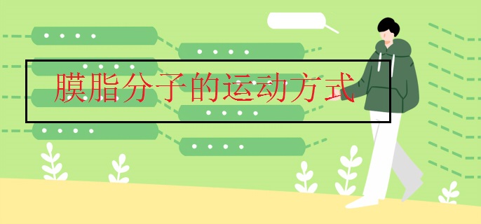膜脂分子的運(yùn)動方式