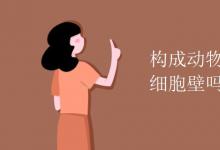 中考快訊：構(gòu)成動物體的細胞有細胞壁嗎