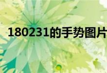 180231的手勢(shì)圖片（180231是什么意思）