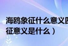 海鷗象征什么意義四字成語（海鷗的特點(diǎn)和象征意義是什么）