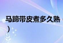 馬蹄帶皮煮多久熟（馬蹄帶皮煮多長時間能吃）