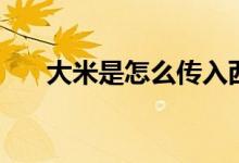 大米是怎么傳入西方（大米誰(shuí)發(fā)明的）