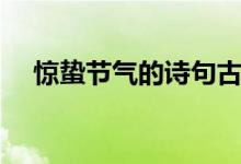 驚蟄節(jié)氣的詩(shī)句古詩(shī)(驚蟄節(jié)氣的詩(shī)句)
