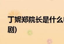 丁妮鄭院長(zhǎng)是什么電視劇(丁妮鄭院長(zhǎng)的電視劇)