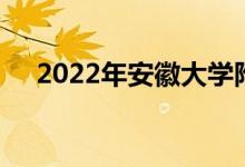 2022年安徽大學附屬學校的地址在哪里