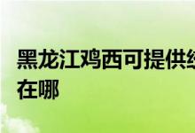 黑龍江雞西可提供統(tǒng)帥平板電視維修服務地址在哪
