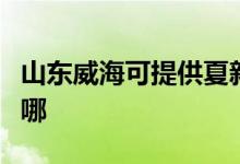山東威海可提供夏新平板電視維修服務地址在哪