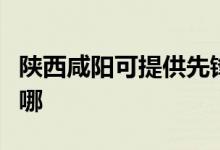 陜西咸陽(yáng)可提供先鋒平板電視維修服務(wù)地址在哪