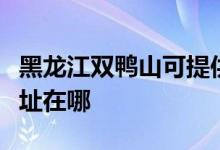 黑龍江雙鴨山可提供康冠平板電視維修服務(wù)地址在哪