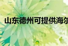 山東德州可提供海爾空調維修服務地址在哪