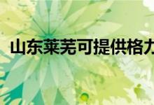 山東萊蕪可提供格力空調(diào)維修服務地址在哪
