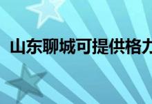 山東聊城可提供格力空調(diào)維修服務地址在哪