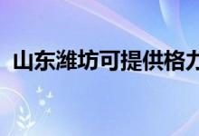 山東濰坊可提供格力空調(diào)維修服務地址在哪