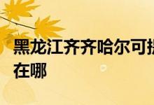 黑龍江齊齊哈爾可提供格力空調(diào)維修服務地址在哪