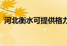 河北衡水可提供格力空調(diào)維修服務地址在哪