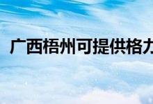 廣西梧州可提供格力空調(diào)維修服務地址在哪
