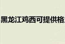 黑龍江雞西可提供格力空調(diào)維修服務地址在哪