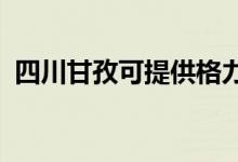 四川甘孜可提供格力空調(diào)維修服務地址在哪