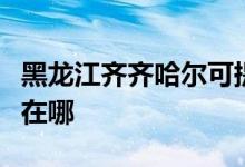 黑龍江齊齊哈爾可提供大金空調(diào)維修服務地址在哪