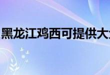 黑龍江雞西可提供大金空調(diào)維修服務地址在哪