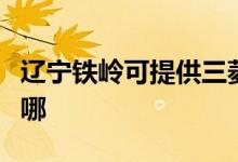 遼寧鐵嶺可提供三菱電機空調維修服務地址在哪