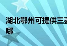 湖北鄂州可提供三菱電機空調(diào)維修服務地址在哪