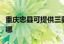 重慶忠縣可提供三菱電機空調維修服務地址在哪