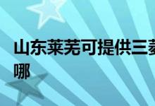 山東萊蕪可提供三菱電機空調維修服務地址在哪