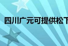 四川廣元可提供松下空調維修服務地址在哪