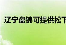 遼寧盤錦可提供松下空調(diào)維修服務地址在哪