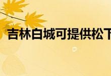 吉林白城可提供松下空調(diào)維修服務地址在哪