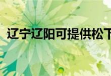 遼寧遼陽可提供松下空調(diào)維修服務地址在哪