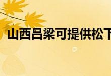 山西呂梁可提供松下空調維修服務地址在哪