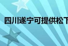 四川遂寧可提供松下空調維修服務地址在哪
