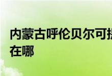 內(nèi)蒙古呼倫貝爾可提供松下空調維修服務地址在哪