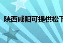 陜西咸陽可提供松下空調維修服務地址在哪
