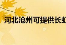 河北滄州可提供長虹空調(diào)維修服務(wù)地址在哪