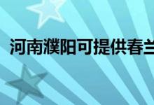 河南濮陽可提供春蘭空調維修服務地址在哪