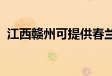 江西贛州可提供春蘭空調維修服務地址在哪