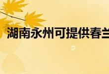 湖南永州可提供春蘭空調維修服務地址在哪