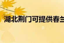 湖北荊門可提供春蘭空調維修服務地址在哪